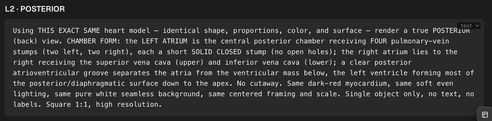 (a) The L2 posterior-view prompt in full